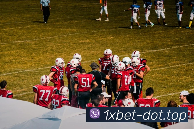 1xbet官网平台生态图